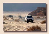 Sinai Safari mit Jeeps